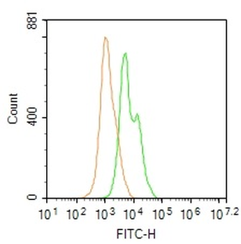 FMNL3 Rabbit Polyclonal Antibody