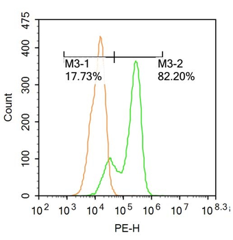 HPV16 E7 Rabbit Polyclonal Antibody
