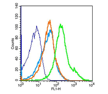 LPA2 Rabbit Polyclonal Antibody