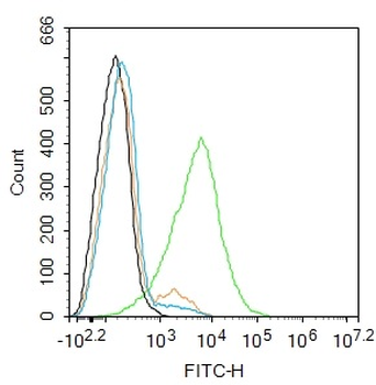 LPA2 Rabbit Polyclonal Antibody