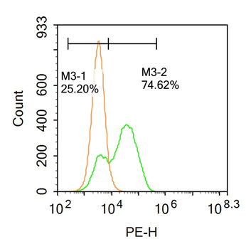 LXR alpha Rabbit Polyclonal Antibody