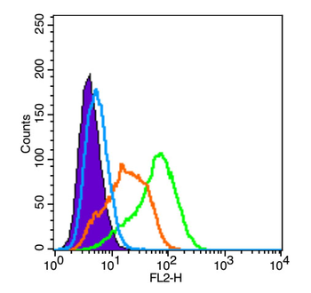TPOR Rabbit Polyclonal Antibody
