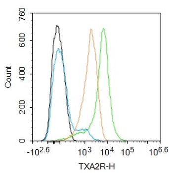 TXA2R Rabbit Polyclonal Antibody