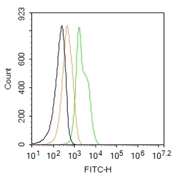 Cardiac Troponin T Rabbit Polyclonal Antibody (FITC)
