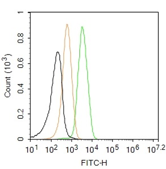 DRD1 Rabbit Polyclonal Antibody (FITC)