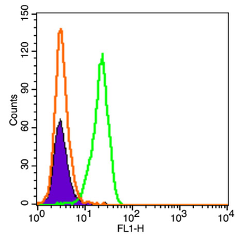 GW182 Rabbit Polyclonal Antibody (FITC)