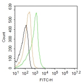OSBPL5 Rabbit Polyclonal Antibody (FITC)