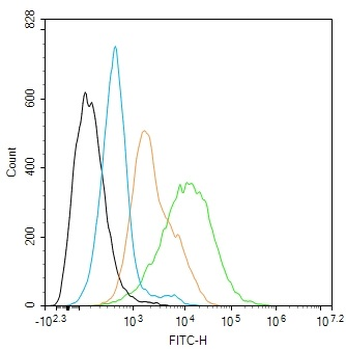 TLR7 Recombinant Rabbit Monoclonal Antibody