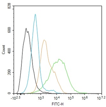 ADGRE1 Recombinant Rabbit Monoclonal Antibody