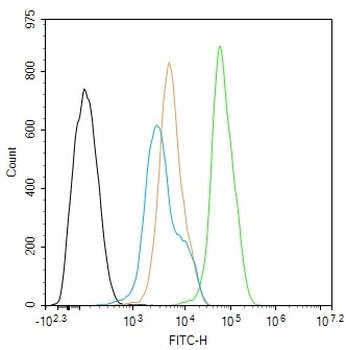 STK18 Rabbit Polyclonal Antibody