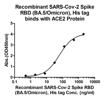 Recombinant SARS-Cov-2 Spike RBD protein (BA.5/Omicron), His (HEK293)