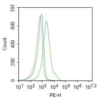 TAAL6 Rabbit Polyclonal Antibody