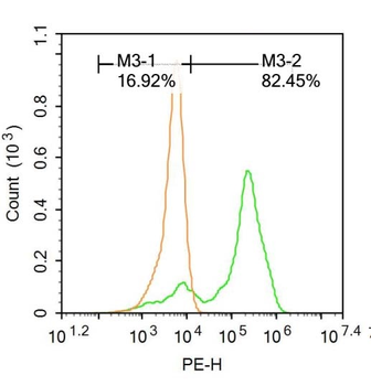 LYL1 Rabbit Polyclonal Antibody