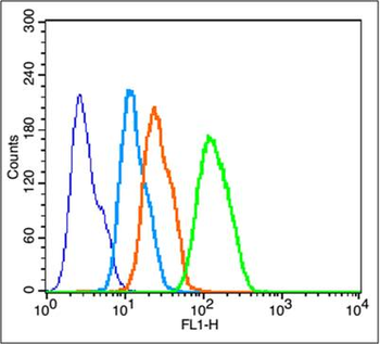 Cytochrome C Rabbit Polyclonal Antibody