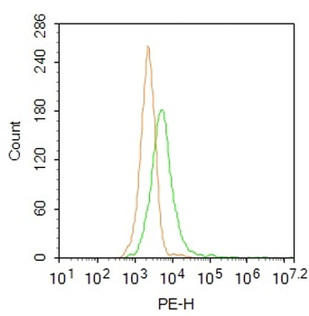 VNN1 Rabbit Polyclonal Antibody