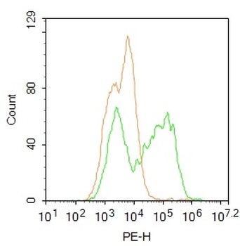 VNN1 Rabbit Polyclonal Antibody