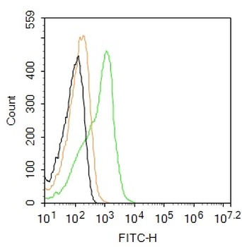 NKD2 Rabbit Polyclonal Antibody (FITC)
