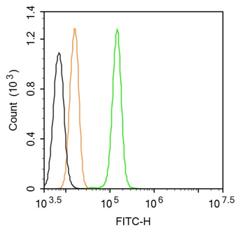 NR2F6 Rabbit Polyclonal Antibody (FITC)