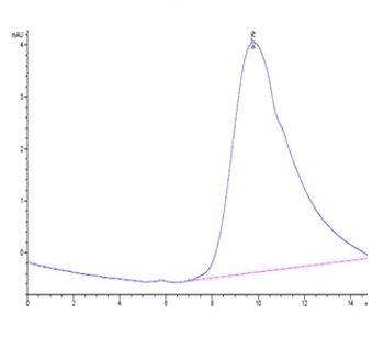 Recombinant human Trem2 protein, C-His-Avi (HEK293), Biotin conjugated