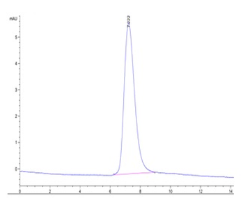 Recombinant human TNFRSF10D protein, C-His-Avi (HEK293), Biotin conjugated