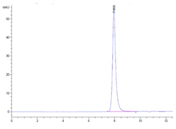 Recombinant human DR5 protein, C-His-Avi (HEK293), Biotin conjugated