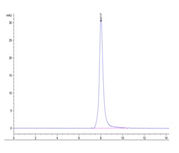 Recombinant human DR4 protein, C-His-Avi (HEK293), Biotin conjugated
