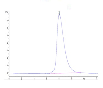 Recombinant human ROR2 protein, C-His-Avi (HEK293), Biotin conjugated
