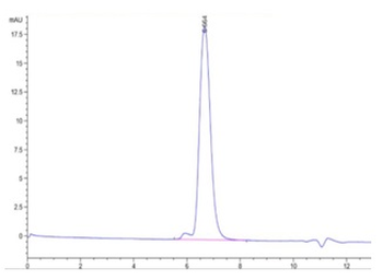 Recombinant human PDGF R Beta protein, C-His-Avi (HEK293), Biotin conjugated