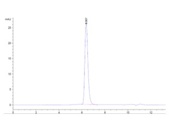 Recombinant human Notch 2 protein, C-His-Avi (HEK293), Biotin conjugated