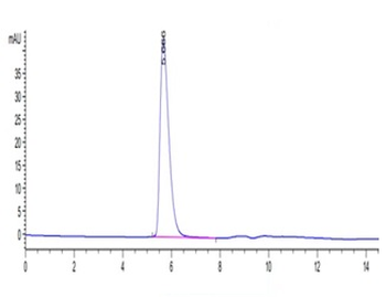 Recombinant human Mesothelin, C-hFc-Avi (HEK293), Biotin conjugated
