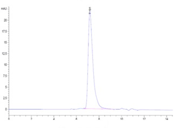 Recombinant human Mesothelin, C-His-Avi (HEK293), Biotin conjugated