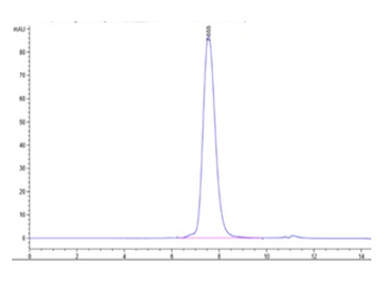 Recombinant human MICB protein, C-His-Avi (HEK293), Biotin conjugated