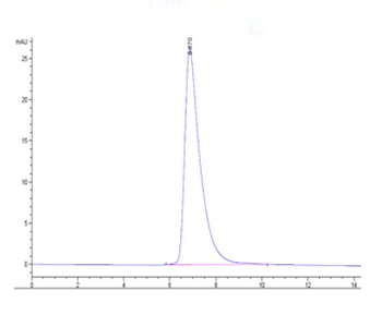 Recombinant human MICA protein, C-His-Avi (HEK293), Biotin conjugated