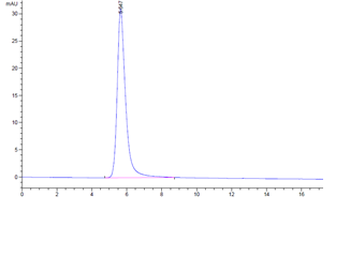 Recombinant human LDLR protein, C-His-Avi (HEK293), Biotin conjugated