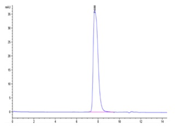 Recombinant human GPA33 / A33 protein, C-His-Avi (HEK293), Biotin conjugated