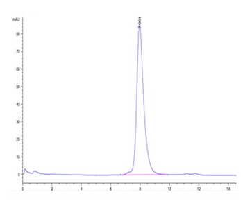 Recombinant Cyn. monkey FcRn protein, C-His-Avi (HEK293), Biotin conjugated