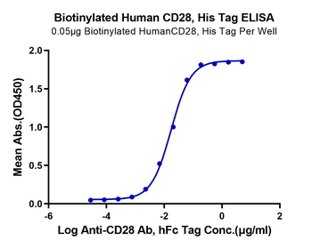 Recombinant human/Cyn. monkey/rhesus macaque CD28 protein, N-His-Avi (HEK293), Biotin conjugated