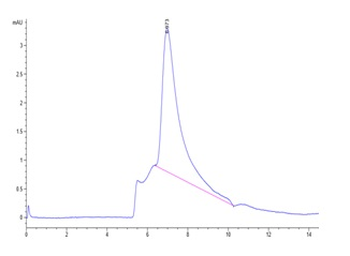 Recombinant human/Cyn. monkey/rhesus macaque CD28 protein, N-His-Avi (HEK293), Biotin conjugated