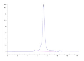 Recombinant human CD79B protein, C-His-Avi (HEK293), Biotin conjugated