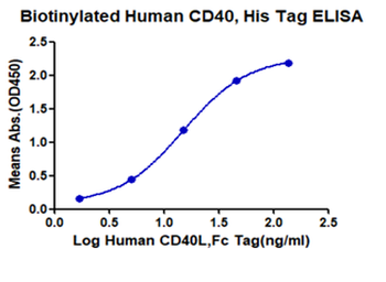 Recombinant human CD40 protein, C-His-Avi (HEK293), Biotin conjugated