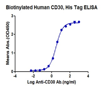 Recombinant human CD30 protein, C-His-Avi (HEK293), Biotin conjugated