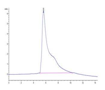 Recombinant human CD30 protein, C-His-Avi (HEK293), Biotin conjugated