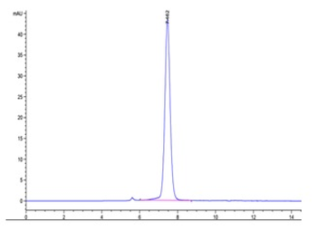 Recombinant human CD122 / IL2RB protein, C-His-Avi (HEK293), Biotin conjugated