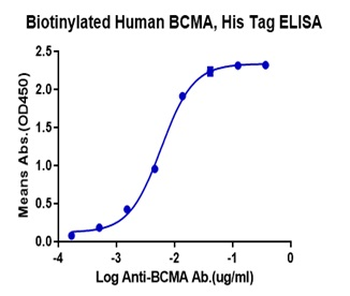 Recombinant human BCMA (Trimer) protein, C-His-Avi (HEK293), Biotin conjugated