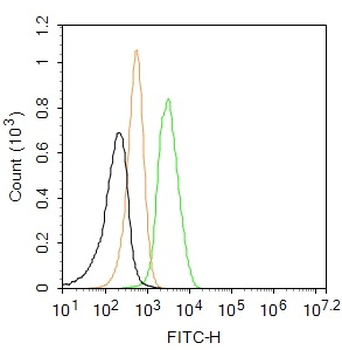 BAFFR Rabbit Polyclonal Antibody (BF488)