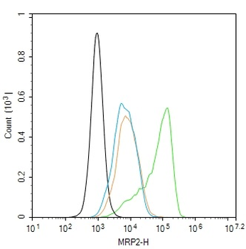 MRP2 Rabbit Monoclonal Antibody