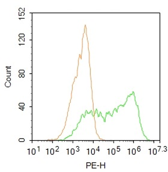 PA26 Rabbit Polyclonal Antibody