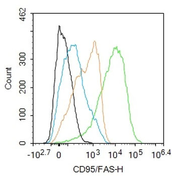 CD95/FAS Rabbit Polyclonal Antibody