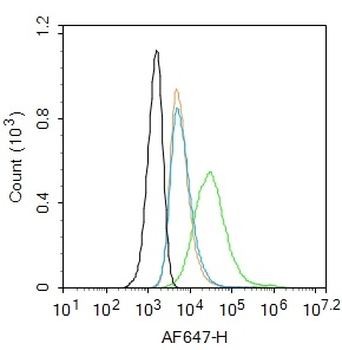 CD24 Rabbit Polyclonal Antibody