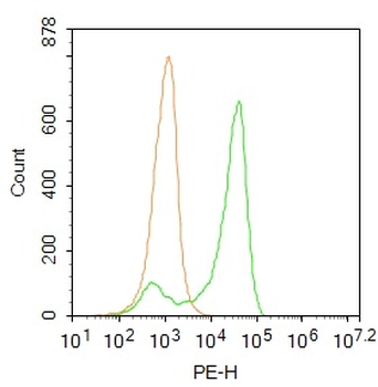 CXorf21 Rabbit Polyclonal Antibody